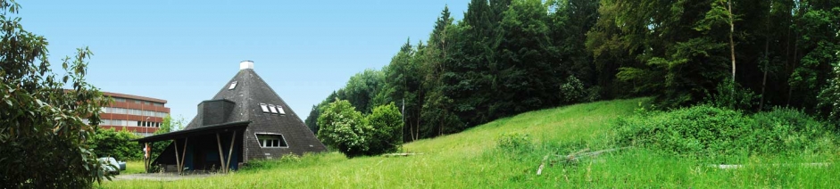 Panoramabild mit Sicht auf die Spielwiese und den Waldrand